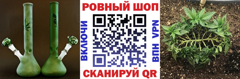 Где купить наркотики Гаврилов Посад Гашиш  Бошки Шишки  А ПВП  Галлюциногенные грибы  ОМГ ОМГ   Меф мяу мяу 