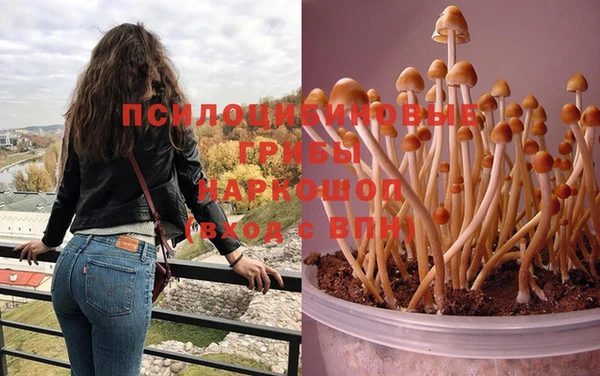 гашишное масло Аркадак