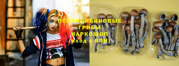 крисы Арсеньев