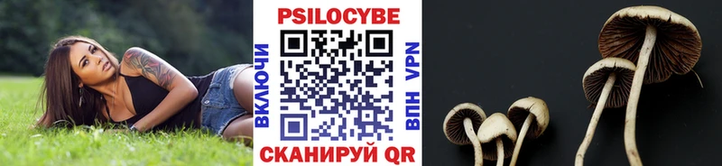 наркотики Гаврилов Посад Псилоцибиновые грибы прущие грибы